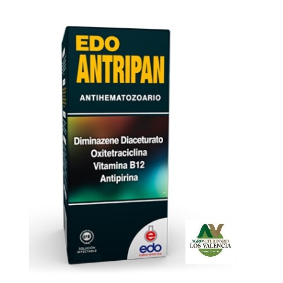 Edo Antripan