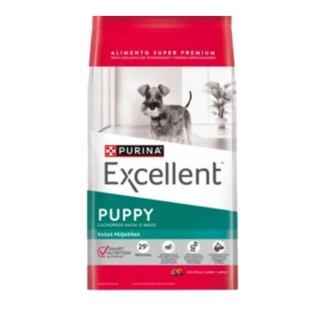 Excellent puppy Raza Pequeña x 3 kilos