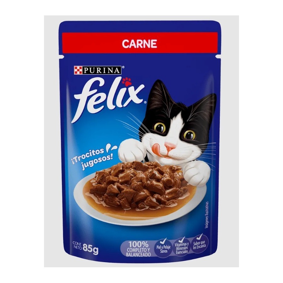FELIX POUCH CARNE 85 GR