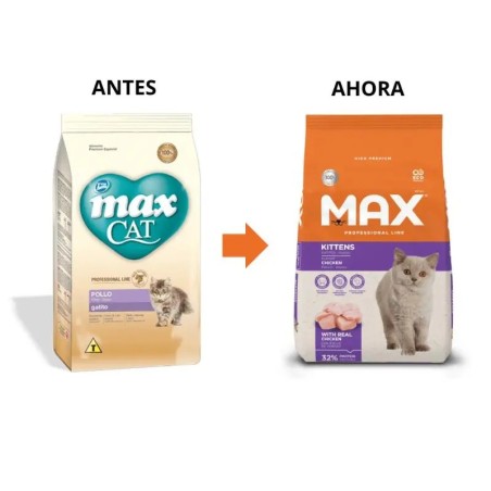 Max Cat Cat Gatito Pollo