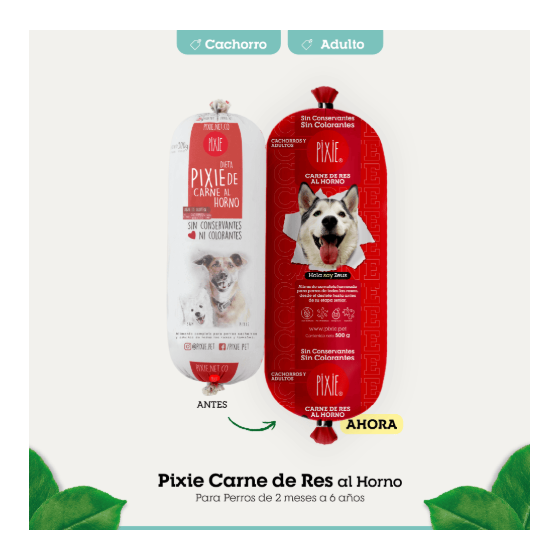 Pixie Alimento Cachorro Adulto Res x 500 Gr