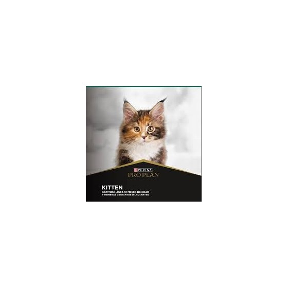 Pro Plan Kitten x 1.5 kilos