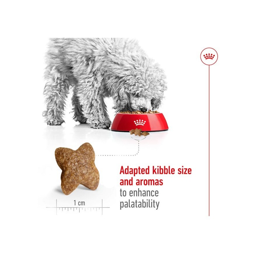 Royal Canin Perro Miniatura Adulto x 2 Kilos