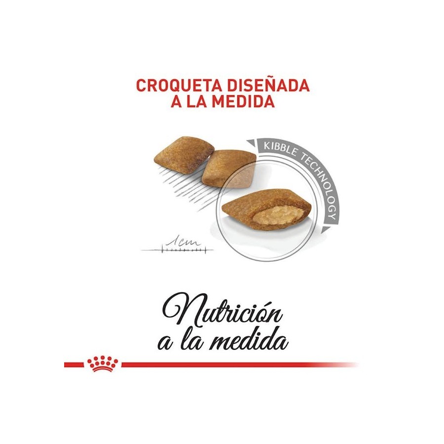 Royal Canin Mini Exigent