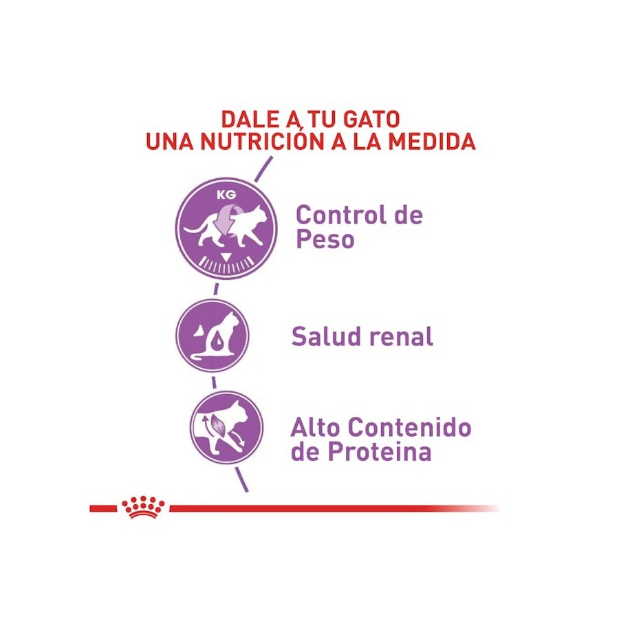 Royal Canin Gato Sterilised