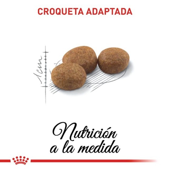 Royal Canin Gato Sterilised