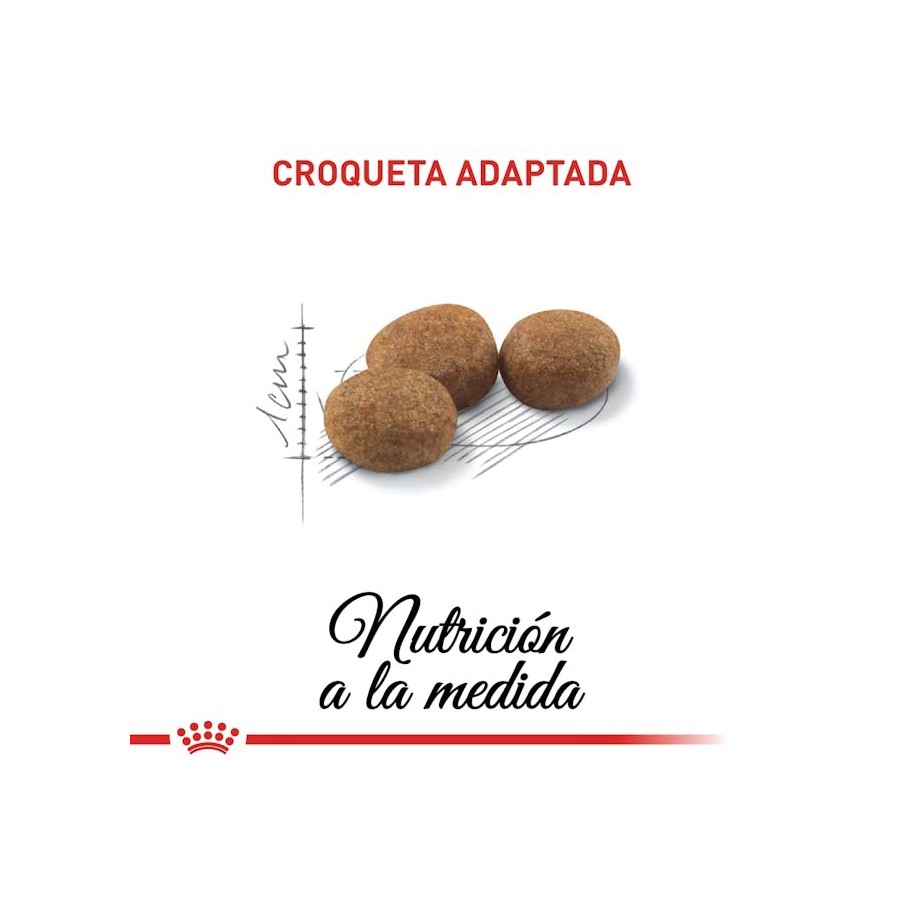 Royal Canin Gato Sterilised